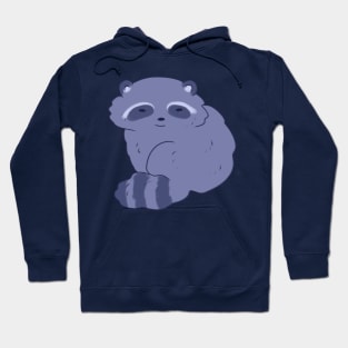 Cute Chunky Raccoon Hoodie